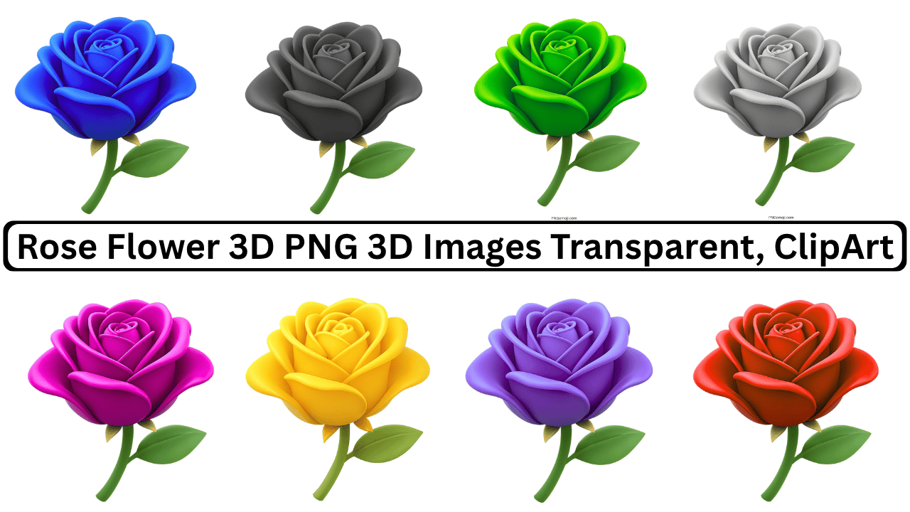 Collection of 3D rose flowers in different colors with transparent background