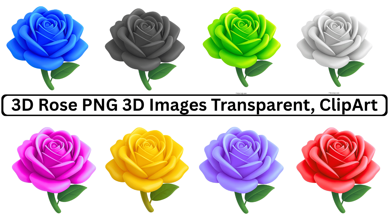 Collection of 3D Rose PNG Images in Various Colors, Transparent Background