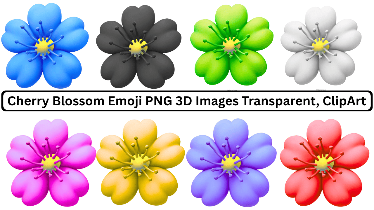 Collection of 3D Cherry Blossom Emoji PNGs with transparent background in different colors
