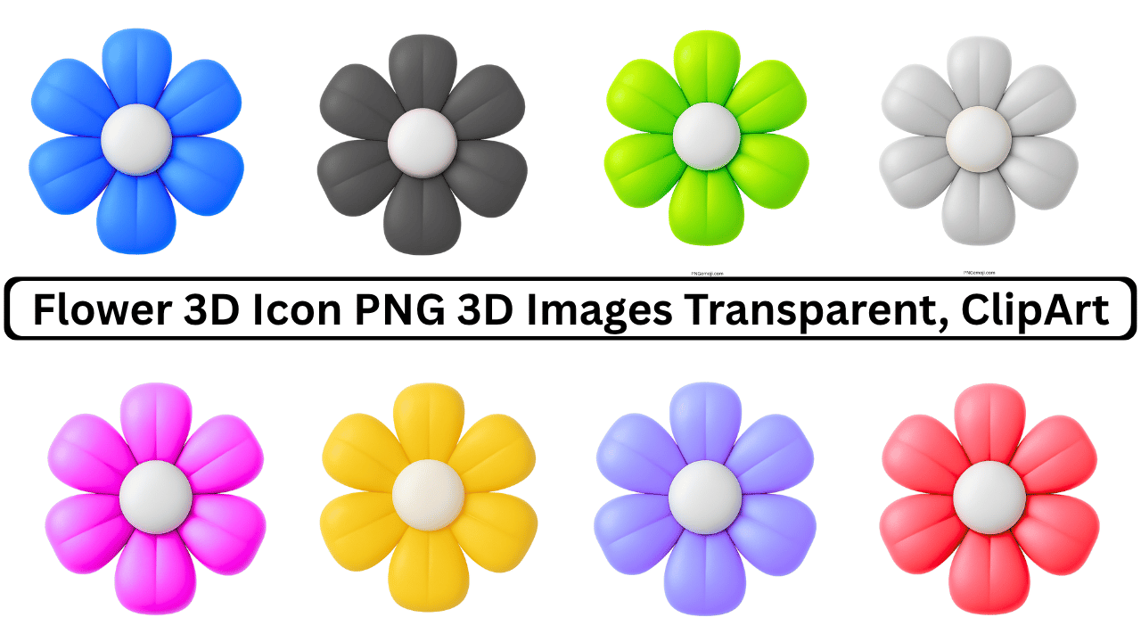 3D flower icon in multiple colors with rounded petals and a white center