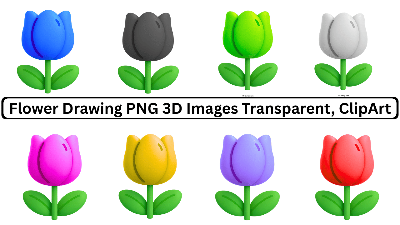 Colorful 3D Flower Drawing PNG Transparent ClipArt Set