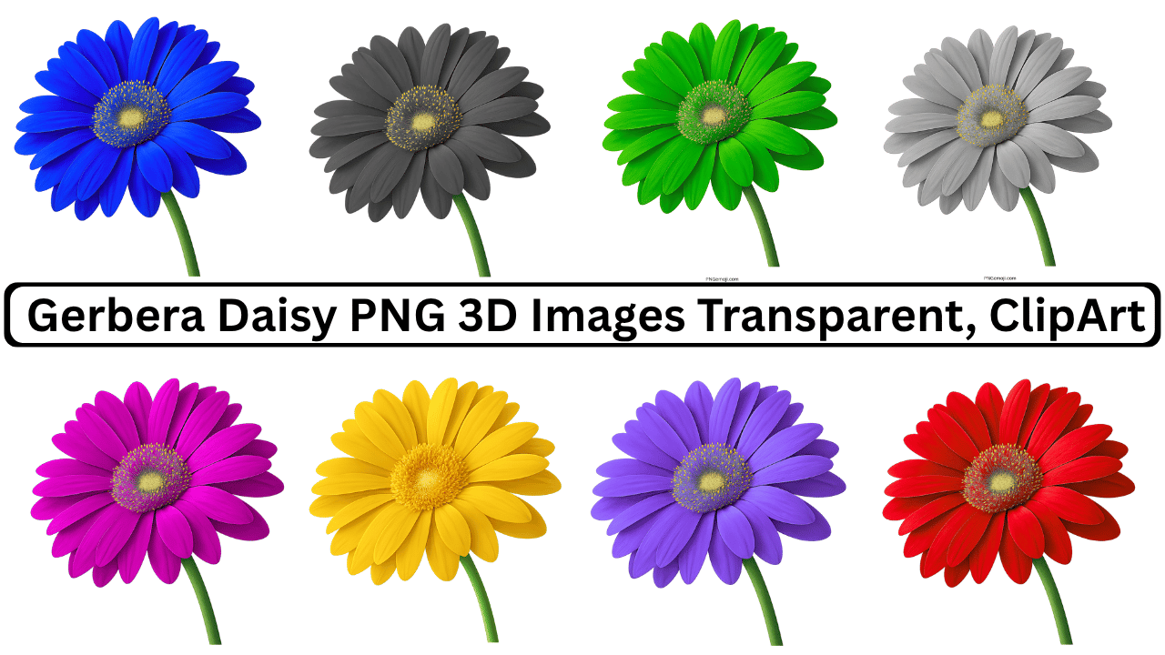 Colorful 3D Gerbera daisy flowers in multiple colors including blue, green, purple, yellow, and red, with transparent background.