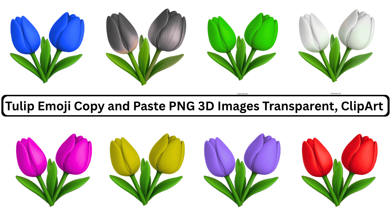 Colorful tulip emoji collection in 3D PNG with transparent background for easy copy and paste.