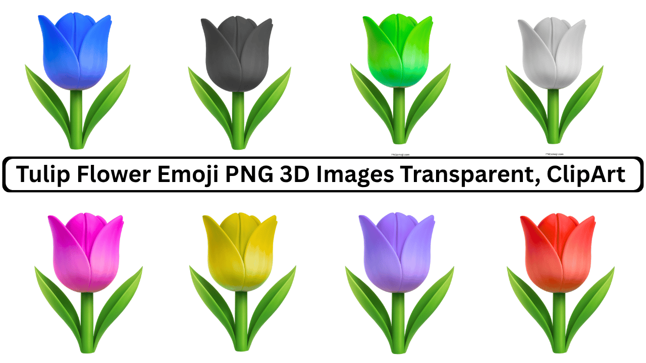 Collection of colorful 3D tulip flower emoji PNG images, including blue, black, green, white, pink, yellow, purple, and red tulips.